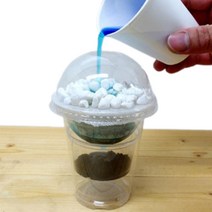 오염물 정화과정 간이 정수기만들기 10인 과학실습 사이언스 체험학습 DIY