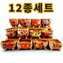 뜰이네 특판세일 다양한 디자인의 다육이 분갈이 세트화분 츄파츕스12종