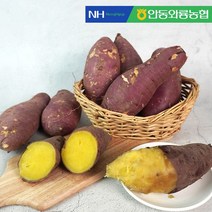 [안동와룡농협] 믿고 먹는 꿀고구마 중상품 5kg, 없음