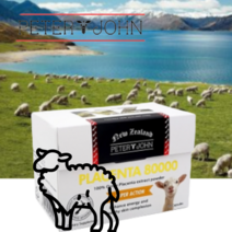 피터앤존 정품 양태반 80000mg 60 캡슐 뉴질랜드, 1개