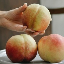 말랑한 백도 복숭아 특품 2kg, 2kg 7과수내외, 1개