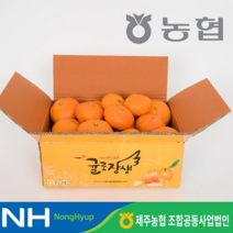 귤로장생 제주 레드향 2kg*1박스+ 한라봉2kg*1박스, 1