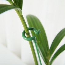 갑조네 오링지지대 넝쿨 화분 원형 화초 지주대 5개묶음, 오링지지대 48cm(5개묶음), 5개