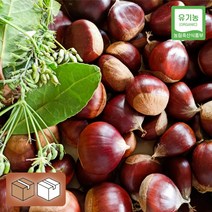 충북 충주 유기농 이평 햇 탈피밤 800g 햇밤 알밤 깐밤 탈피밤, 유기농 햇 알밤 4kg