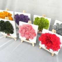 [Rucy] 스칸디아모스이젤액자/공기정화식물/천연이끼, 하늘/투명봉투