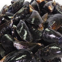통영 해산물 멍게 가리비 굴, 1box, 홍합2kg