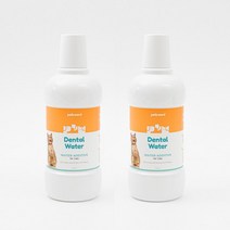 펫츠워드 캣 덴탈워터 500ml 고양이 전용, 500ml x 2개