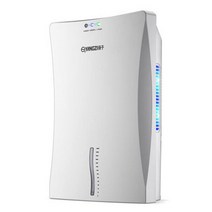 제습기110v 220v 지능형 제습기 에너지 절약 수분 흡수기 건조 의류 정화 공기 원 버튼 작동 가정용, 05 C 110V_03 영국 플러그