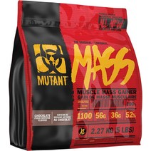 뮤턴트 매스게이너 프로틴 BCAA 딸기바나나 2.27kg, 딸기 바나나개, 5파운드(1팩)