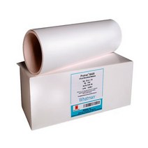 Whatman 10402506 Protran BA85 Nitrocellulose Blotting Membrane Circle 0.45µm Pore Size 25mm Diame, 1, Circle, 25mm Diameter (Pack of