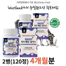 모로오렌지 초유 락토페린 락토패린 단백질 프리미엄정 락토페린정 골드 그래스패드 그레스패드 그래스페드 동결건조 여자 여성 저분자어린콜라겐펩타이드 레몬밤추출분말, 2병(120정)/4개월분