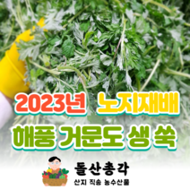 [돌산총각] 거문도 생쑥 노지재배 해풍 쑥, 거문도 쑥 500g