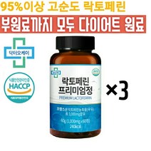 95%이상 고순도 락토페린 프리미엄정 다이어트 1000mg X 60정, 3개(6개월분)