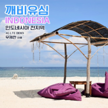 깨비유심 인도네시아 전지역 4G LTE 데이터 2일 이용 유심 출국전 불량 유심 확인 가능 (4362338), 대구 공항수령