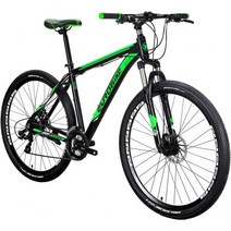 X9 산악 자전거 21 속도의 EUROBIKE 29, green