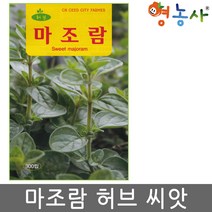 마조람 허브씨앗 300립