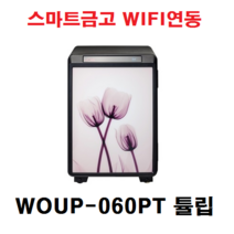 루셀 LUCELL 선일금고 WOUP-060PT지문 튤립 스마트금고 직접설치배송 보석함증정, WOUP-060PT