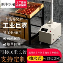 산업용가습기 복합식 가전주파집겸용회전hf 농산물저온저장고 가습기 주파집 공조기가습 무인방제기 대형, SC-C2201(10코어단일튜브터치버전)