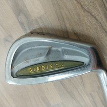 브릿지스톤 BIRDIE MID IRON 8번 아이언 C 카본 R, 단일 제품