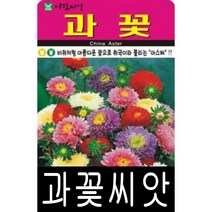 [워터트리몰] 꿀풀 씨앗(10000립) 채소 꽃 종자 재배 씨앗 허브 나무 (A)