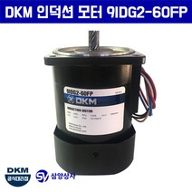 DKM 인덕션 모터 9IDG2-60FP 단상 220V 15파이 감속기타입