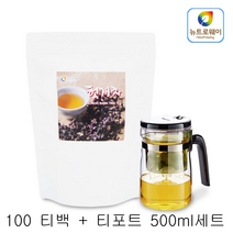 뉴트로웨이 헛개나무열매차100티백+티포트500ML세트
