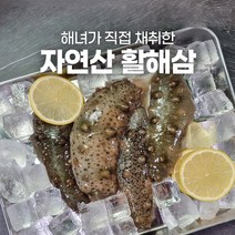 해삼 활해삼 1kg 5kg 손질법 요리 제철 회 자연산, 국내산 활해삼 5kg