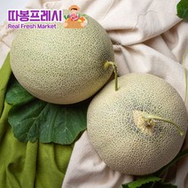 따봉프레시 3차선별 고당도 메론 머스크 파파야 양구 설향 백자 허니듀 하미과, 1개, 2kg