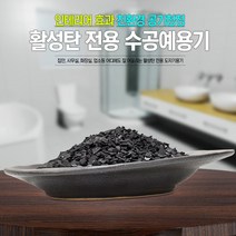 활성탄전용도자기그릇W-2/야자숯/공기청정/새집증후근 P/S:8C4CE5 JH+8237EA : 활성탄 습기제거 베이크아웃 실리카겔 화장실탈취제 탈취 냄새제거제, uh ; 1, uh ; 본상품선택