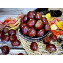 옥광밤/임금님 진상밤/1kg 2kg 4kg, 옥광(대)4kg