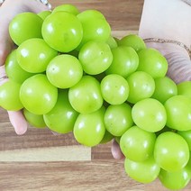 맛있는 최상급 샤인머스켓 1Box 2kg 3송이 2kg 4송이 1.2kg 크기랜덤, 01.  2kg 3수