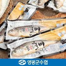 [영광군수협]법성포 영광 진공 굴비 세트 900g(10미) / 450g*2팩
