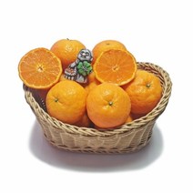 제주 카라향 3kg 5kg, 카라향3kg15~17과