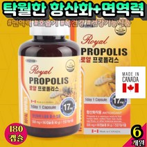 면역력에좋은 여성피로회복제 목에가래 면역력 기관지에좋은 항염 몸속염증 코로숨쉬기 비건 목관리 호흡기 영양제 면역 숨이차는증상 그린멀티 임마름
