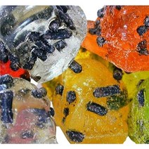 독일직구 손 부서진 사탕 중 하나인 아니스와 감초 스프링클이 에르드넛킹 1kg 카츄, 상세참조, 수량
