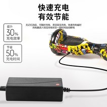 지능 호버보드 외바퀴 두개 작은 태블릿 전동휠, 기본, T01-J호버보드 충전기 36v-42v(