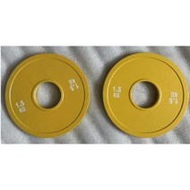 0.5kg 원판 파워리프터 점진적 증량 0.25 역도 선수용, 1.25KG 그레이 페어 순수 강판