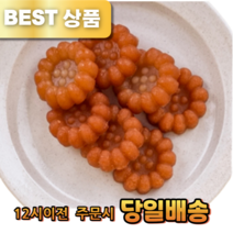 프로스 신제품 건강을 담은 담양 우리밀 미니 약과, 112g, 1봉
