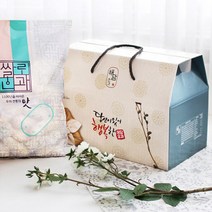 국내산 찹쌀 전통한과 혼합 유과 선물세트 500g, 단품