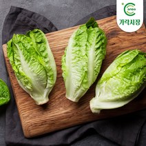 [온도씨]가락시장 통로메인 300g, 단품