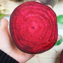 제주산 햇 생 레드비트 국내산 1kg/3kg/5kg (업체별도, 03. 레드비트 5kg