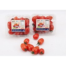 맛있게익다 [신선] 스테비아 방울토마토 500g 1kg 2kg, 스테비아 방울토마토 2kg (500g * 4팩)