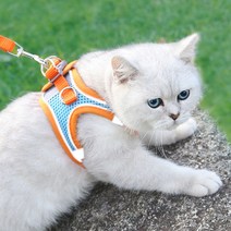 비투비돔 고양이 하네스 고양이 목줄 산책줄 가슴줄, 오렌지+스카이