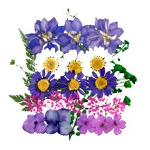 압화재료 압화 종합팩 보라정원 70 압화공예 솔체압화