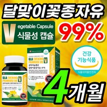 저온 압찹추출 식물성 감마리놀렌산 감마리 감마니 감미리 롤렌산 놀산 놀렌산 놀래산 감마리놀 달맞이유 달맞이꽃 종자유 월경 전 변화 혈중 콜레스테롤 혈행 개선 도움 캡슐 영양제, 1개, 4개월 / 240캡슐x1개