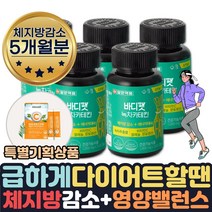 (호쌤마켓) 효과좋은 단기간 다이어트 필요할때 피하지방 내장지방 살빠지는 체지방분해 도움 식약처인증 카테킨 보조제 약 1달 살빼는 얼굴살 팔뚝살 허리 빼는법 줄이는법 도움, 5개월분+비타민C