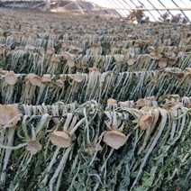 [초록한입] 국내산 유기농 건무청시래기 500g, 1