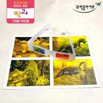 3D 입체안경 만들기 1인 키트 과학수업용 초등교구 조립키트 실험실 과학교재 과학실험 초등교과실험 실험