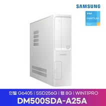 삼성 데스크탑5 DM500SDA-A25A NVMe256G/램8GB/WIN11PRO/DW