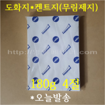 [ 학교납품전문 ] 켄트지 180g 4절 125매 / 전문가용 무림도화지